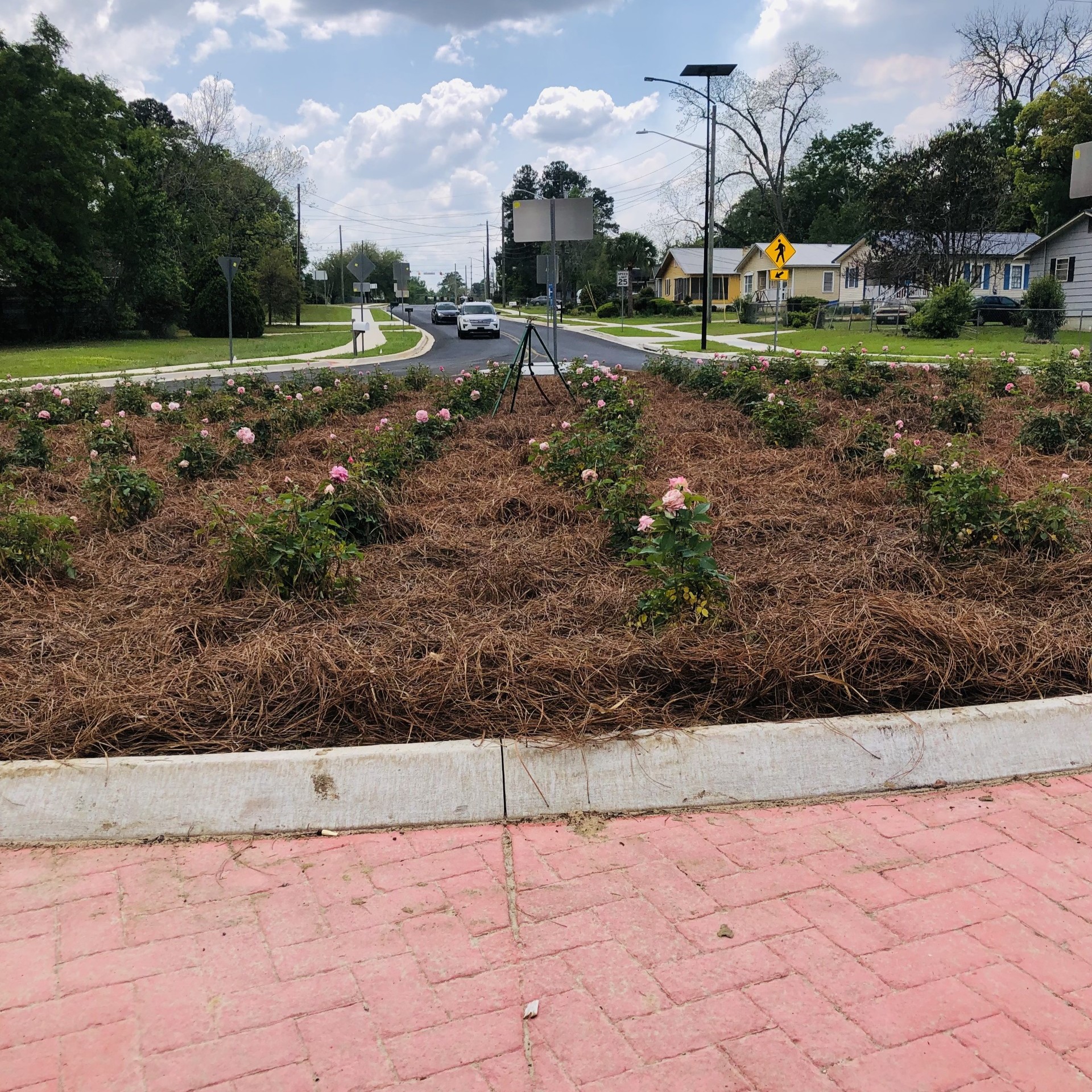 Rose Garden at Roundabout