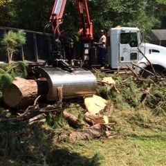CITY EXTENDS HOURS FOR HERMINE DEBRIS CLEANUP Photo for CITY EXTENDS HOURS FOR HERMINE DEBRIS CLEANUP