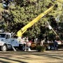 Click to enlarge image Moving Utility Poles