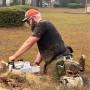 Click to enlarge image Tree Removal