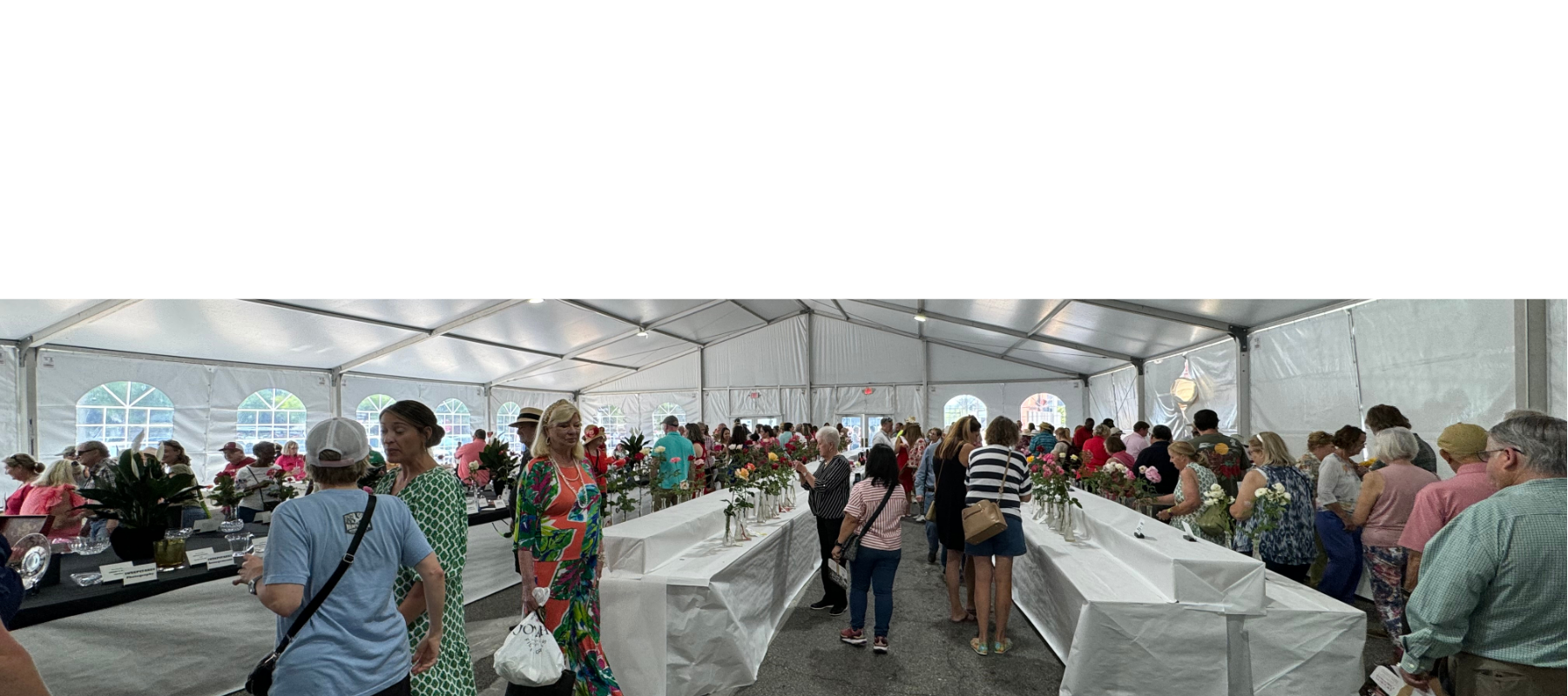 Rose Show & Festival