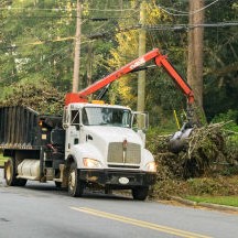 CITY EXTENDING HOURS FOR IRMA DEBRIS CLEANUP Photo for CITY EXTENDING HOURS FOR IRMA DEBRIS CLEANUP