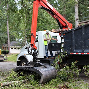 CITY EXTENDING HOURS FOR MICHAEL DEBRIS CLEANUP Photo for CITY EXTENDING HOURS FOR MICHAEL DEBRIS CLEANUP