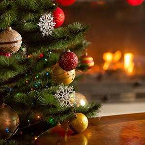 THOMASVILLE FIRE RESCUE REMINDS THE COMMUNITY ABOUT HOLIDAY FIRE SAFETY Photo for THOMASVILLE FIRE RESCUE REMINDS THE COMMUNITY ABOUT HOLIDAY FIRE SAFETY