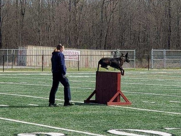 K-9 Handler Haley Jensen and K-9 Kaiko participating in Agility Exercise