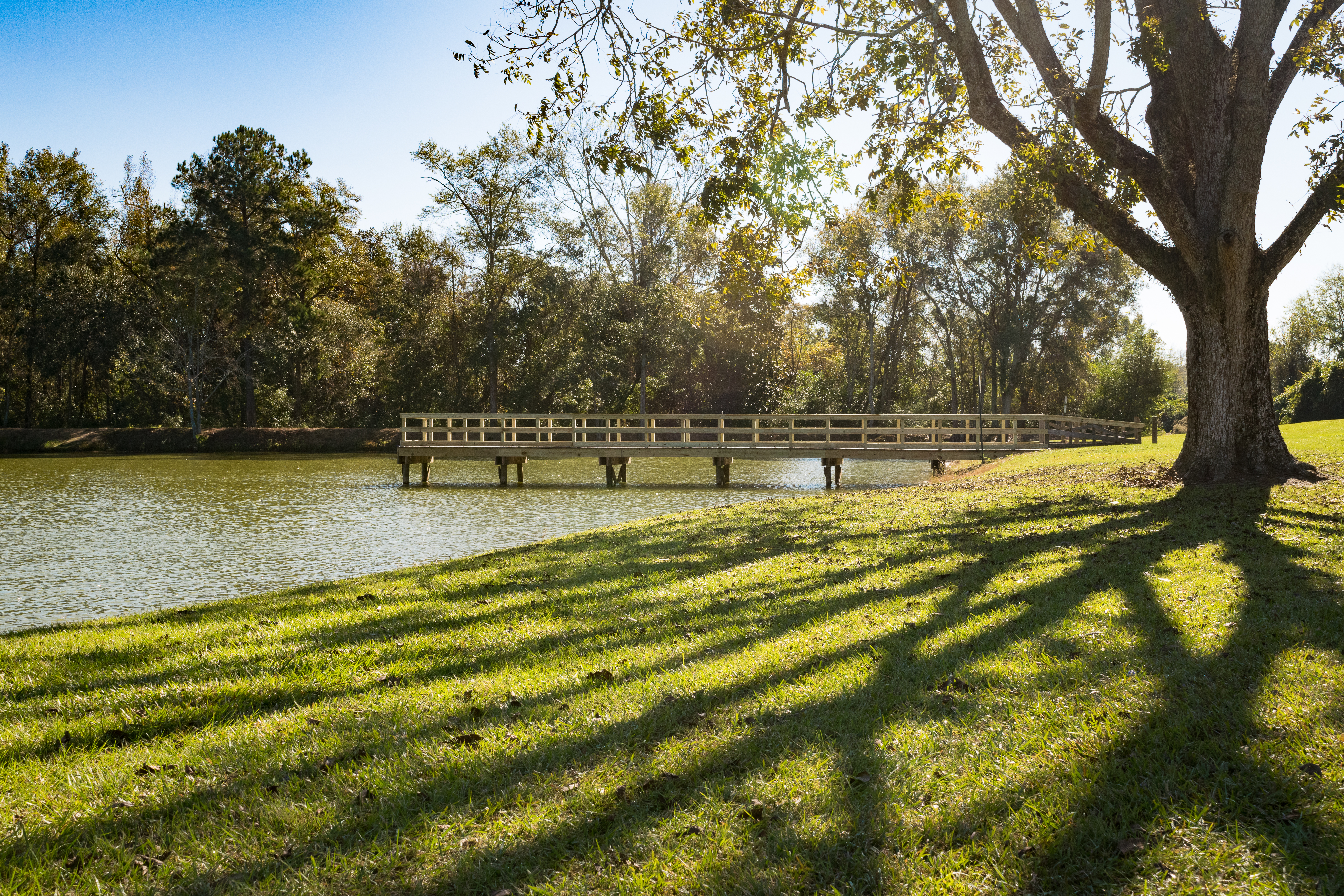 Cassidy Pond