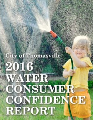 QUALITY CONTINUES FOR THE CITY OF THOMASVILLES WATER TREATMENT PLANT Article Photo